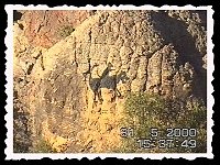 Foto 007